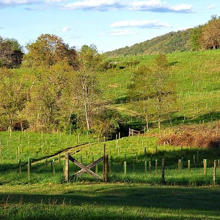 Walnut Run Farm Vila Woodville Exterior foto