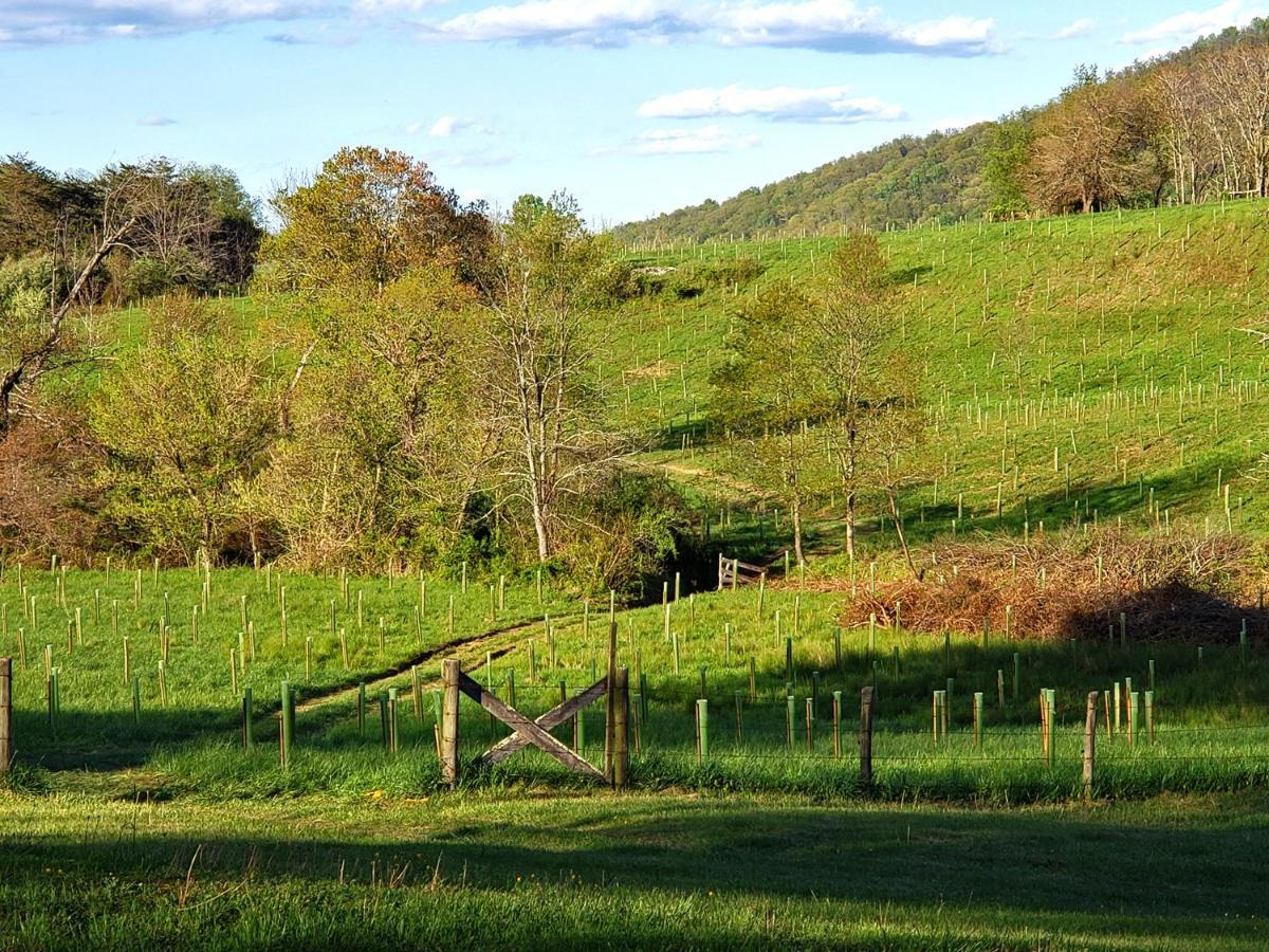Walnut Run Farm Vila Woodville Exterior foto