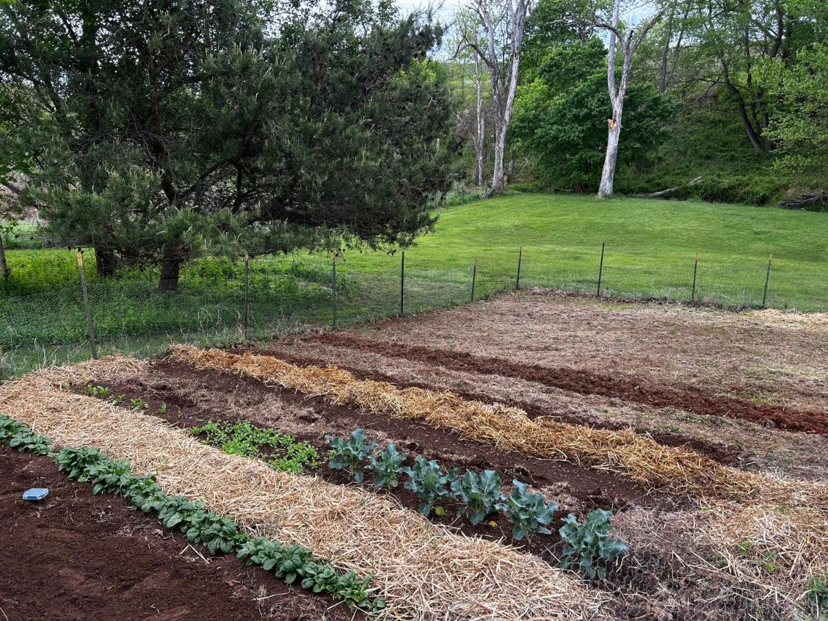 Walnut Run Farm Vila Woodville Exterior foto