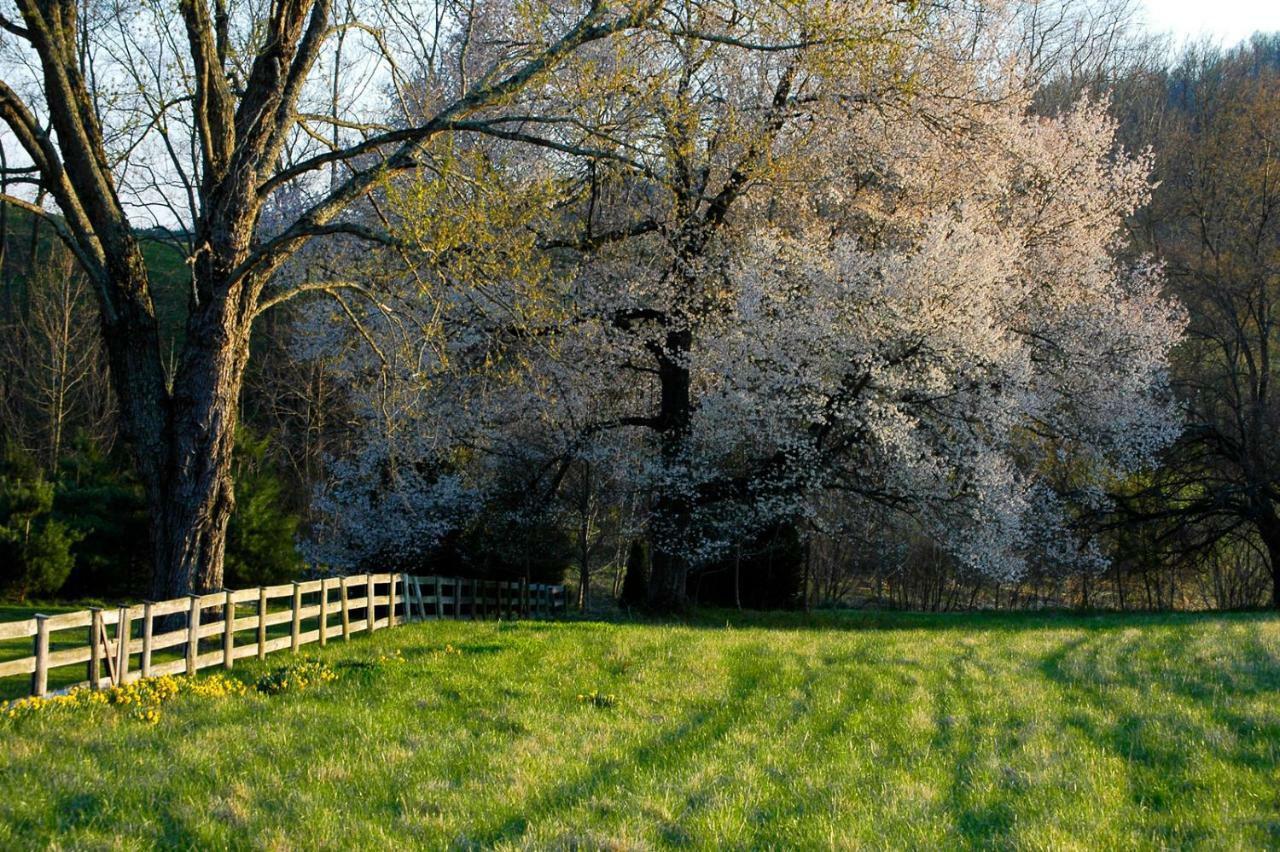 Walnut Run Farm Vila Woodville Exterior foto