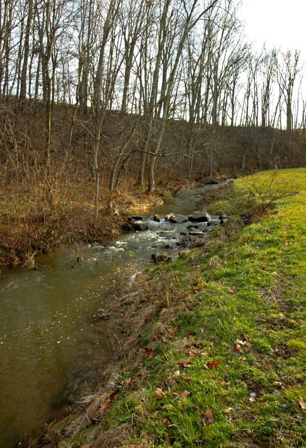 Walnut Run Farm Vila Woodville Exterior foto